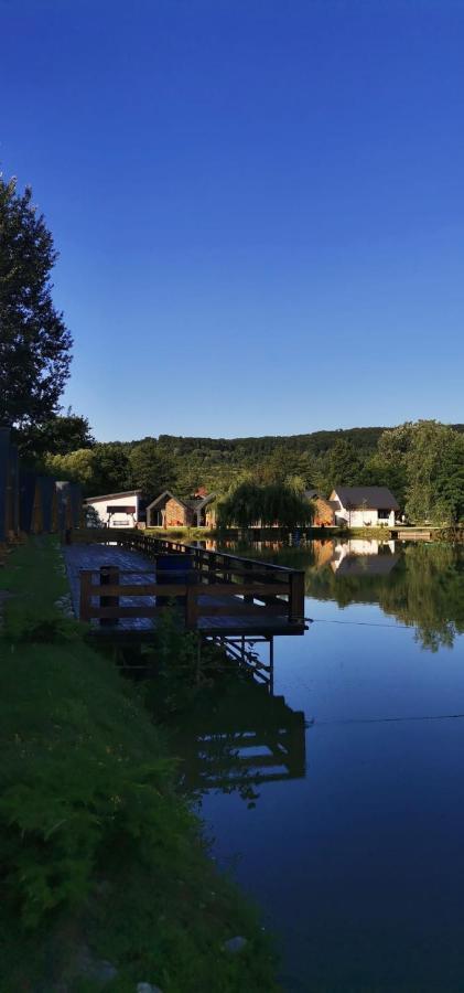 Pastravaria Zavoi Valea Danului Exterior foto