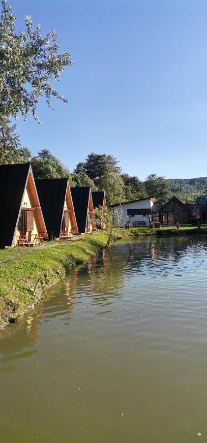 Pastravaria Zavoi Valea Danului Exterior foto